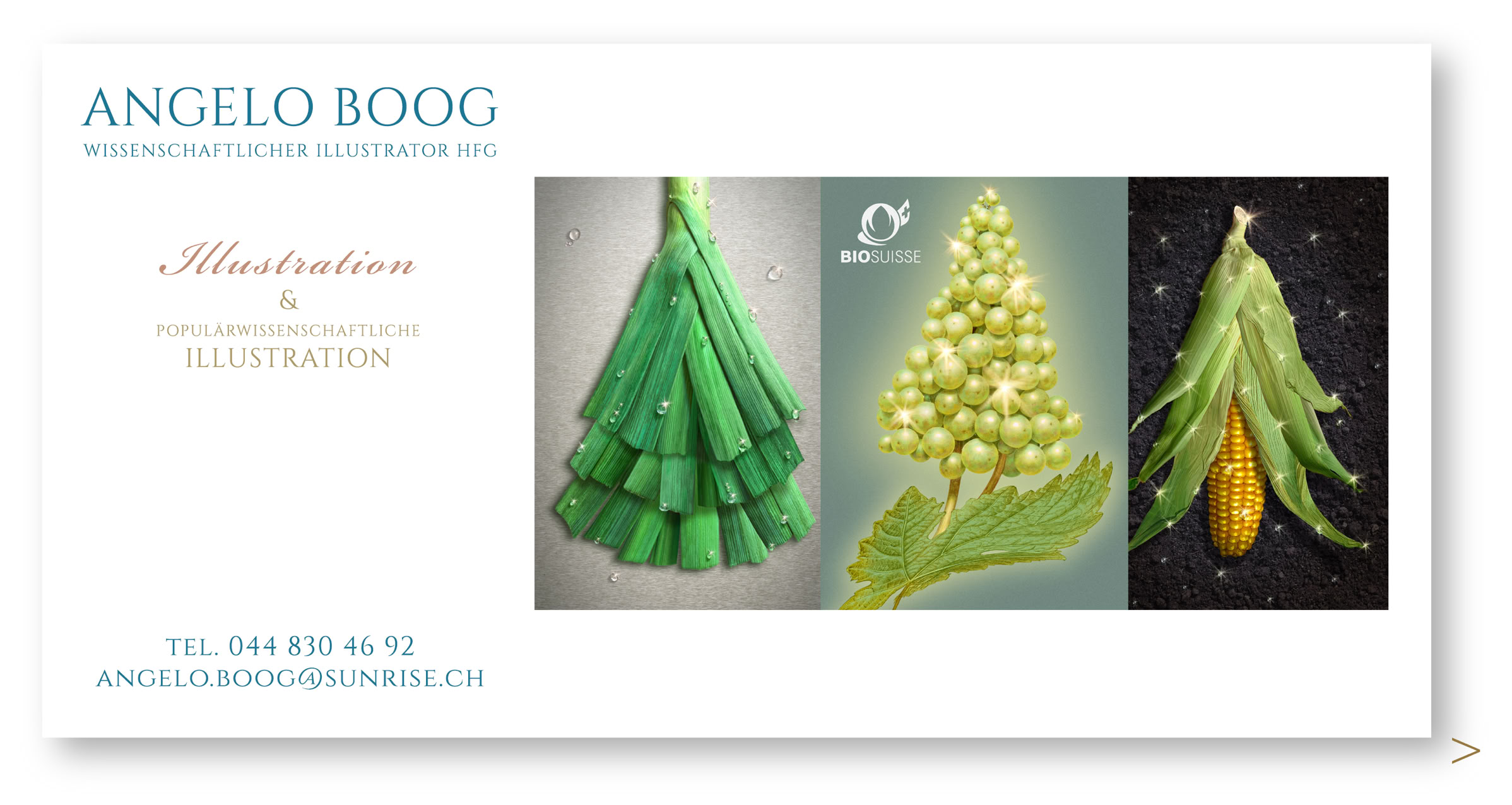 Illustration Karte Weihnachten Weihnachtskarte Neujahrskarte Biofood