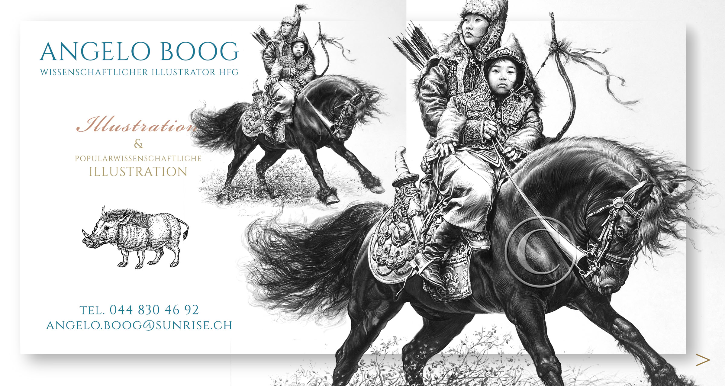 Illustration Fantasy Buch Tusche Pferd